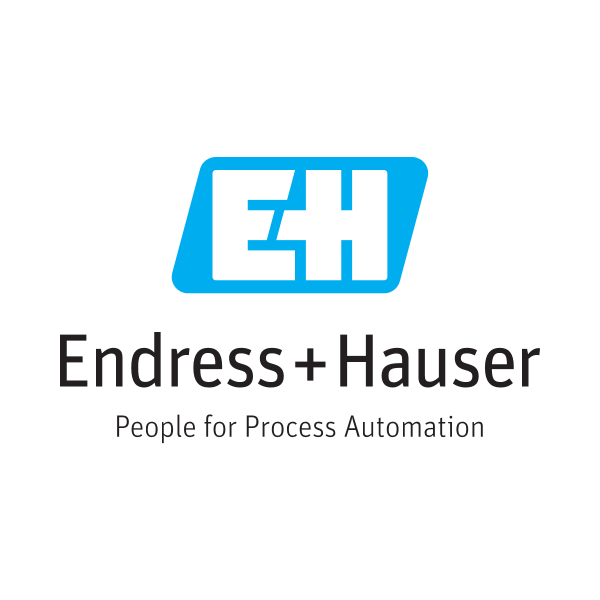 endress-hauser-logo MARYAM BARJEES TRADING HOME PAGE BRANDS